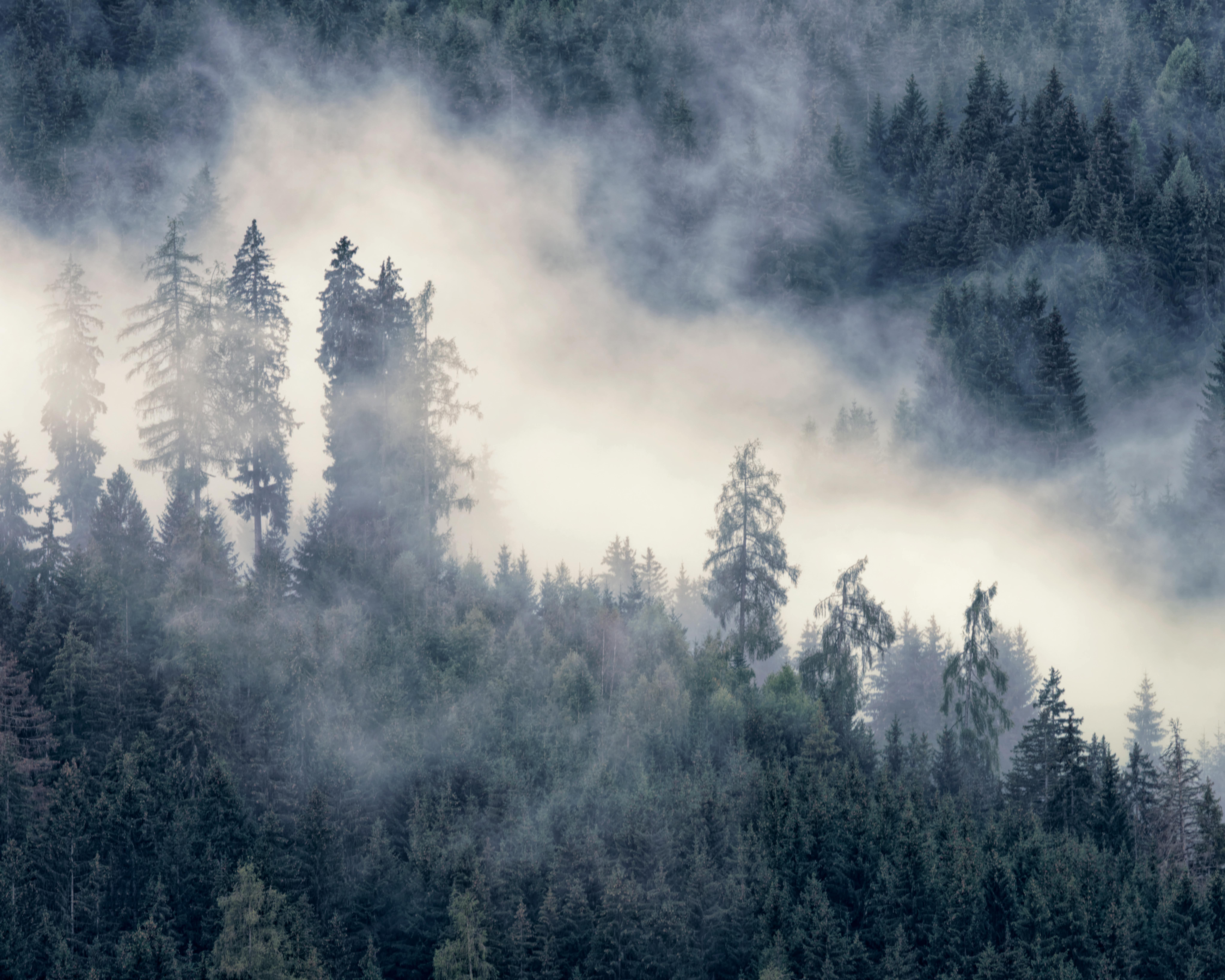 Scroll navigation template preview